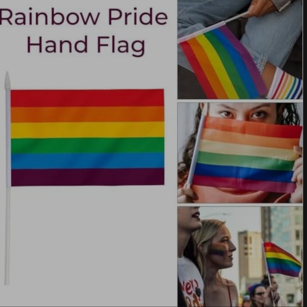 5pc. Rainbow Pride Hand Flags New  LGBTQ